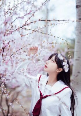不单是教师_DVD在线播放